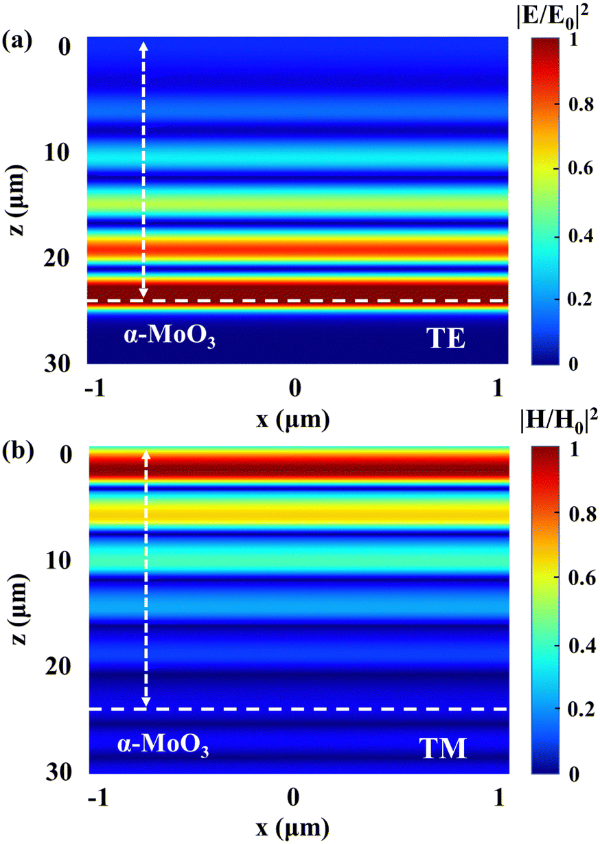 A polarization-dependent perfect absorber with high Q -factors 