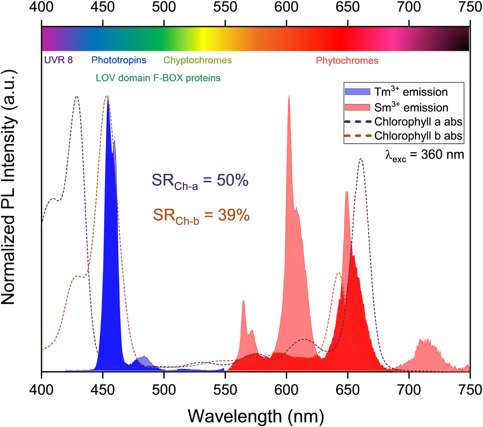 https://pubs.rsc.org/image/article/2023/CP/d3cp03440b/d3cp03440b-f6_hi-res.gif