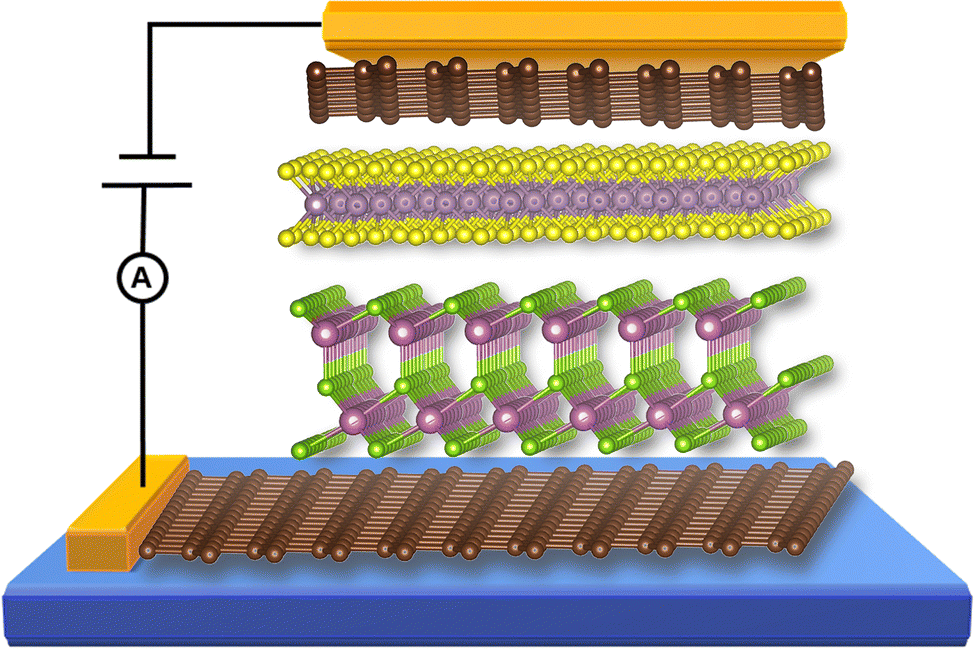 The tunneling electroresistance effect in a van der Waals 