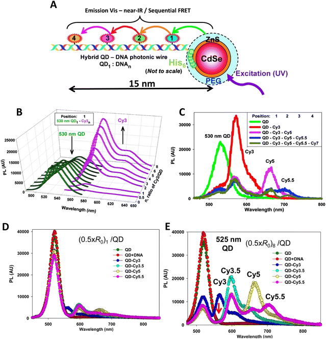 https://pubs.rsc.org/image/article/2023/CS/d0cs00936a/d0cs00936a-f17.gif