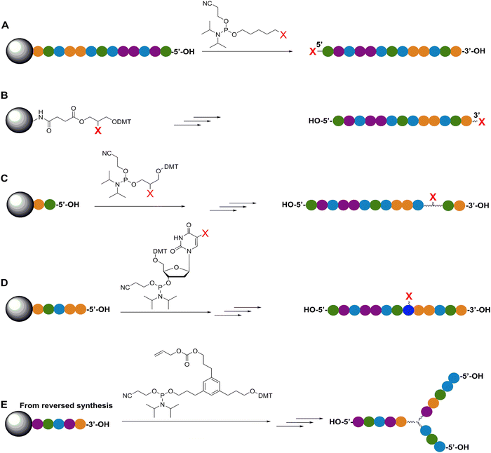 Pursuing excitonic energy transfer with programmable DNA-based 