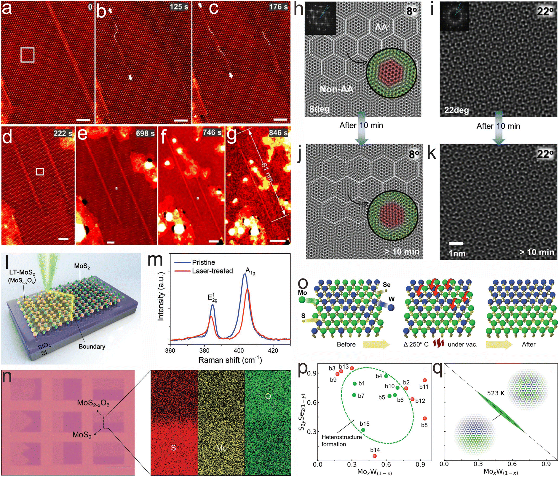 Structure modulation of two-dimensional transition metal 