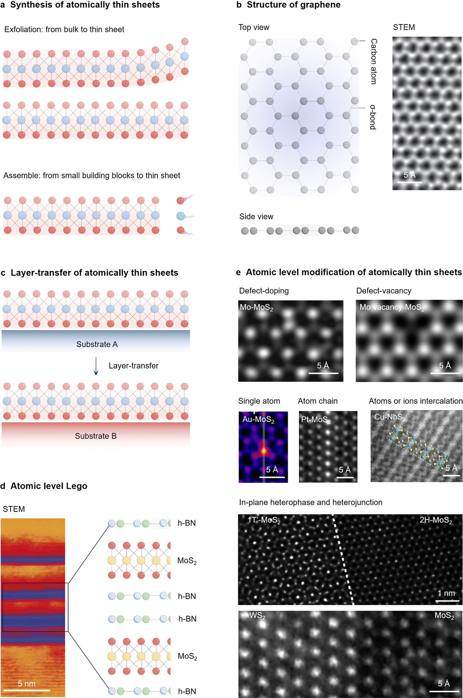 スクエアターミナル Photocatalysis with atomically thin sheets - Chemical