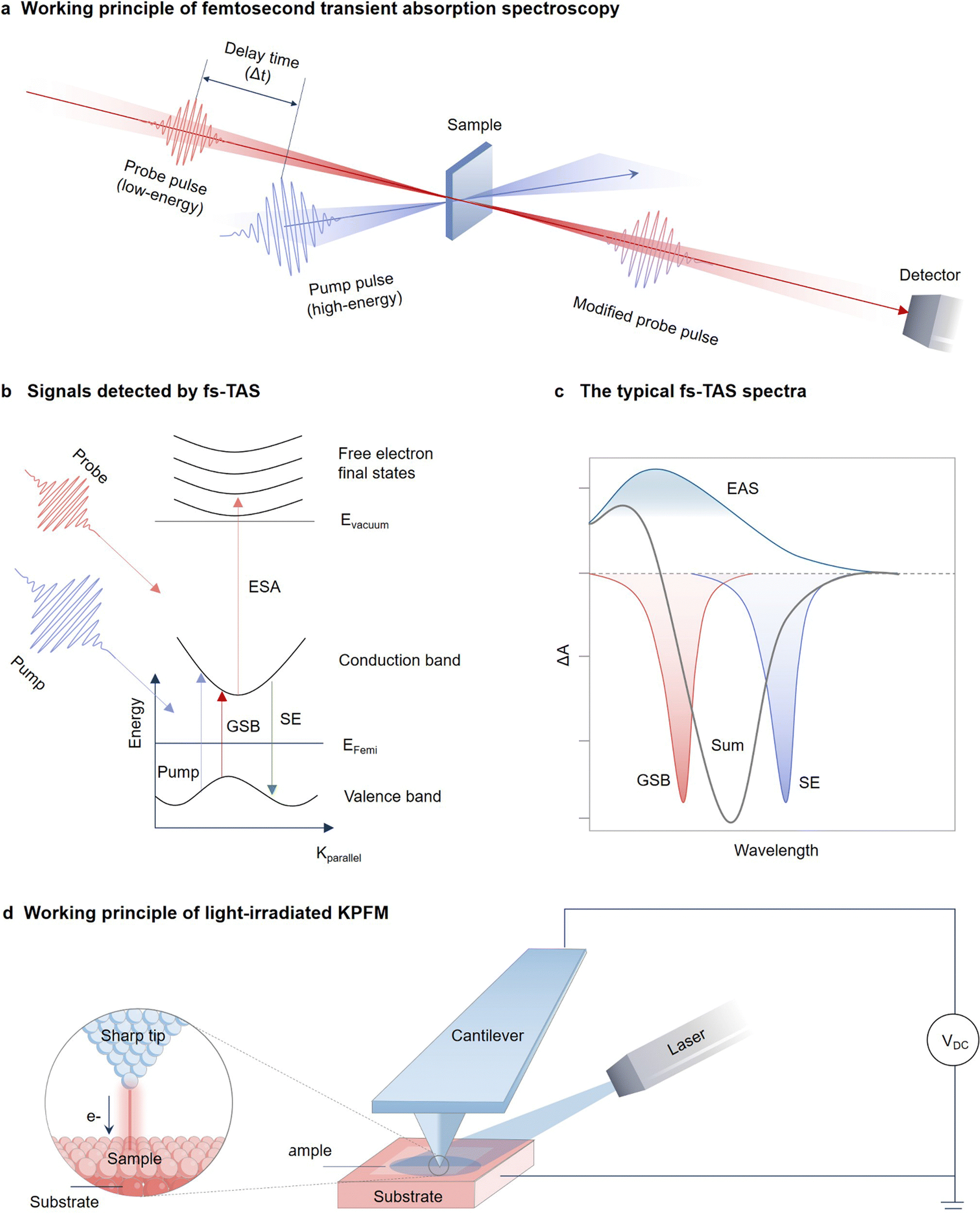 Photocatalysis with atomically thin sheets - Chemical Society