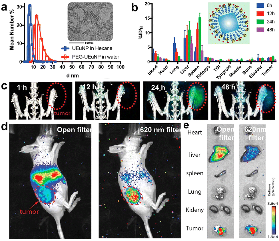 Emerging ultrasmall luminescent nanoprobes for in vivo