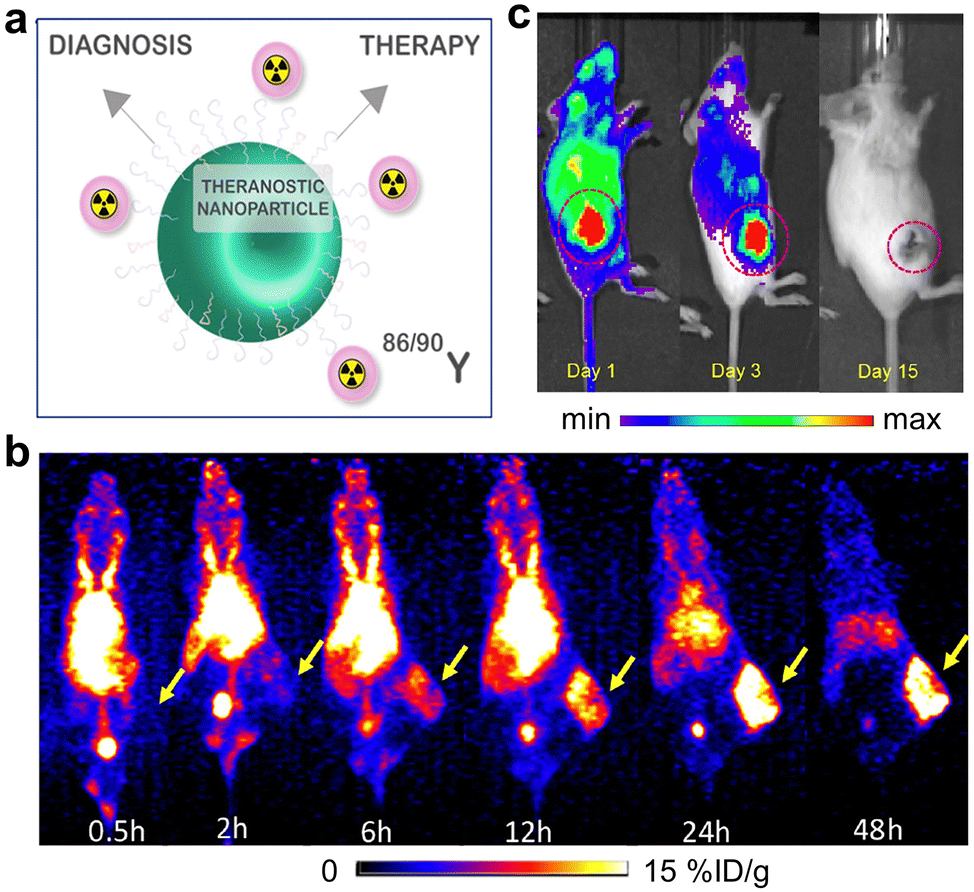 Emerging ultrasmall luminescent nanoprobes for in vivo Emerging ultrasmall luminescent nanoprobes for in vivo