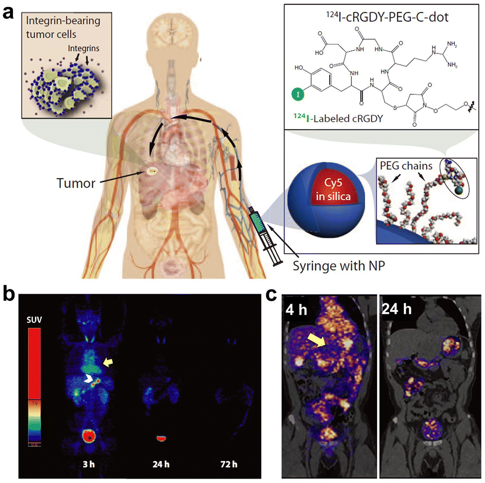 Emerging ultrasmall luminescent nanoprobes for in vivo bioimaging 