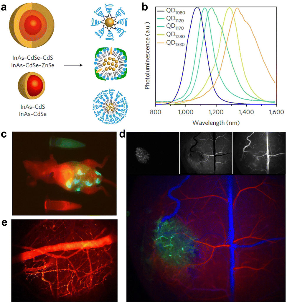 Emerging ultrasmall luminescent nanoprobes for in vivo Emerging ultrasmall luminescent nanoprobes for in vivo