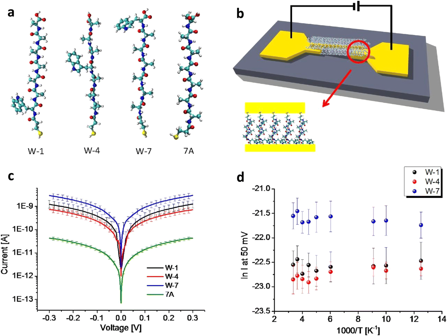 Single-molecular protein-based bioelectronics via electronic 