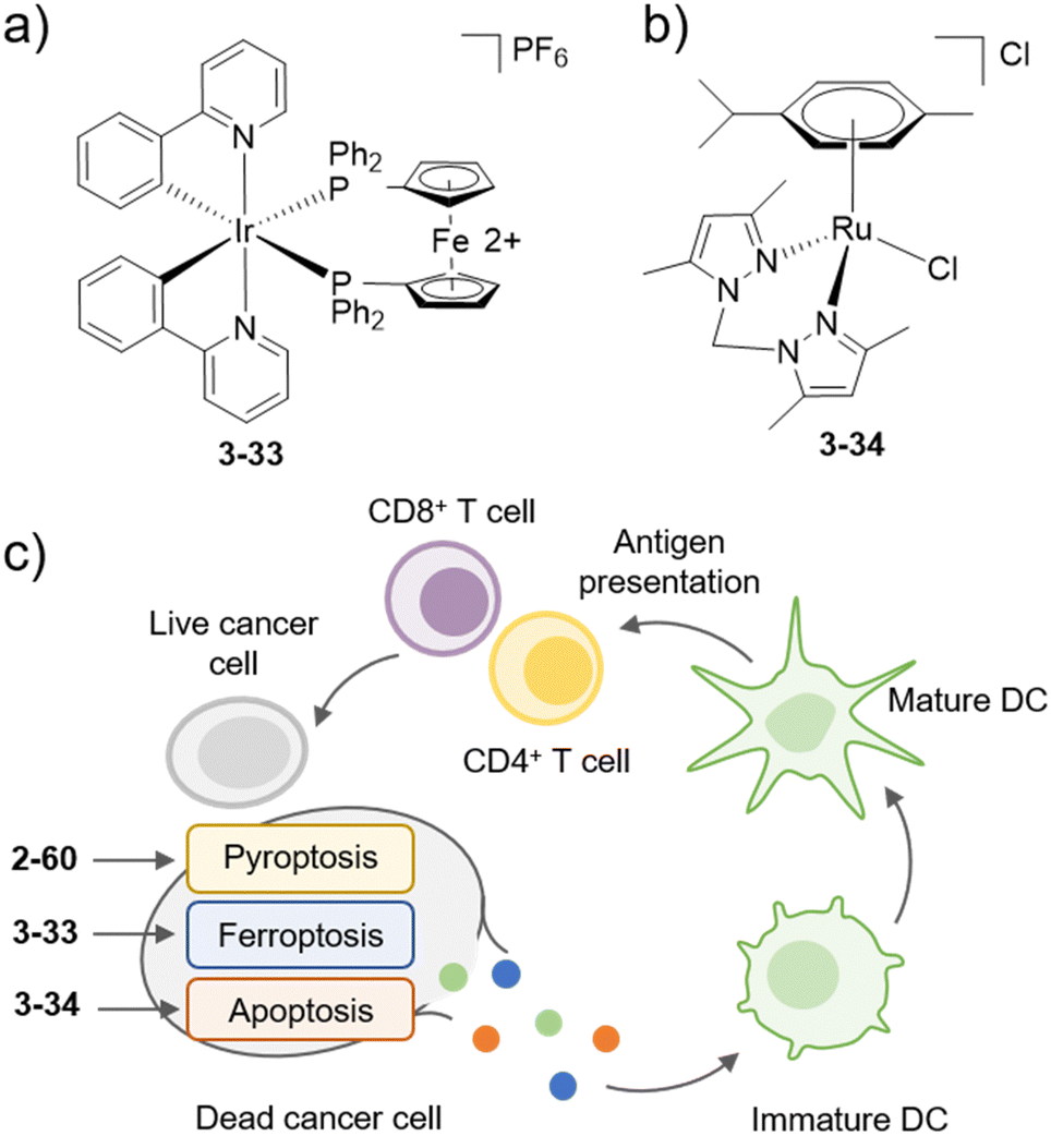 Organometallic anti-tumor agents: targeting from biomolecules to dynamic  bioprocesses - Chemical Society Reviews (RSC Publishing)  DOI:10.1039/D2CS00757F