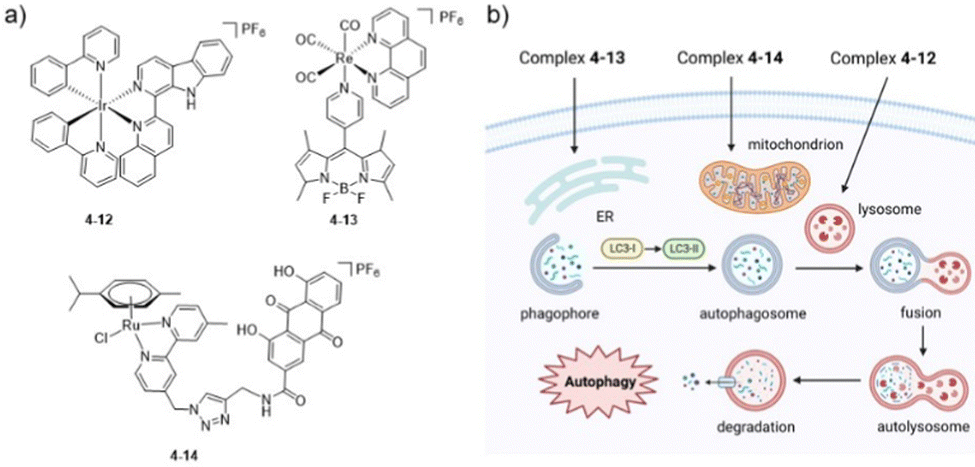 Organometallic anti-tumor agents: targeting from biomolecules to 