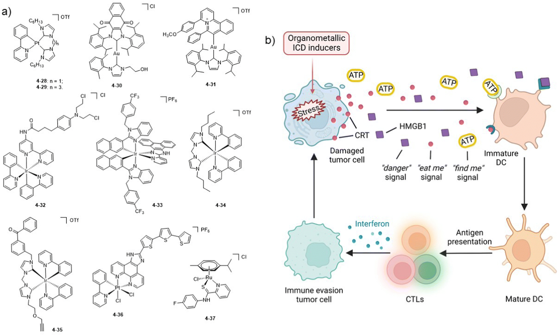 Organometallic anti-tumor agents: targeting from biomolecules to 