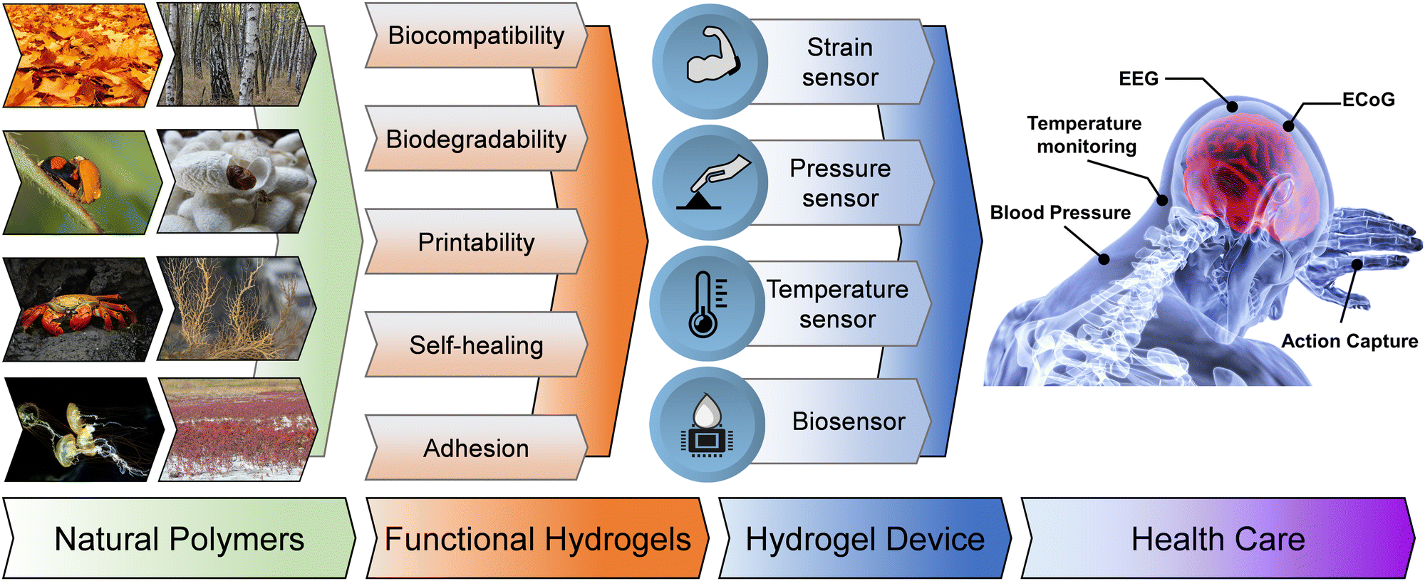 Highly stretchable rubberlike hydrogel with a homogeneous model