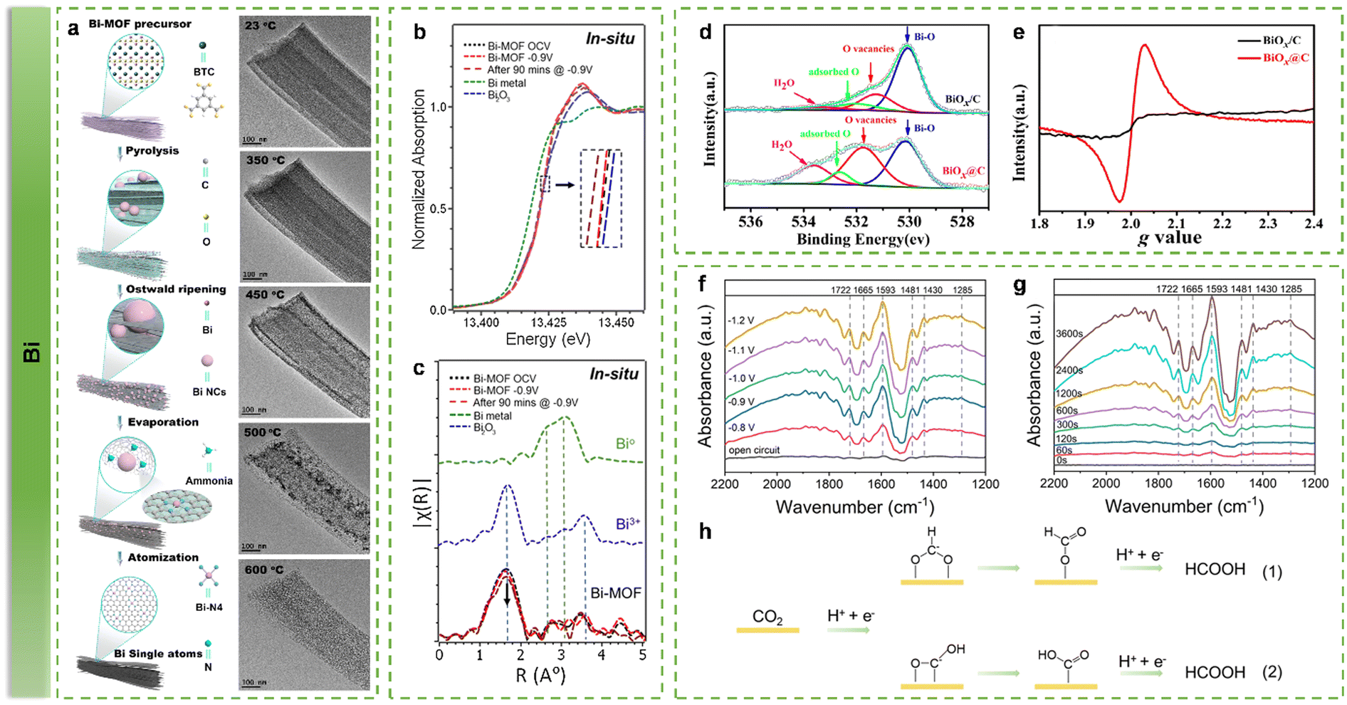 A Review: Development of a Synthetic Lactoferrin Biological