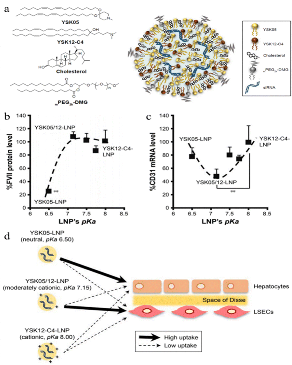 Passive' nanoparticles for organ-selective systemic delivery 