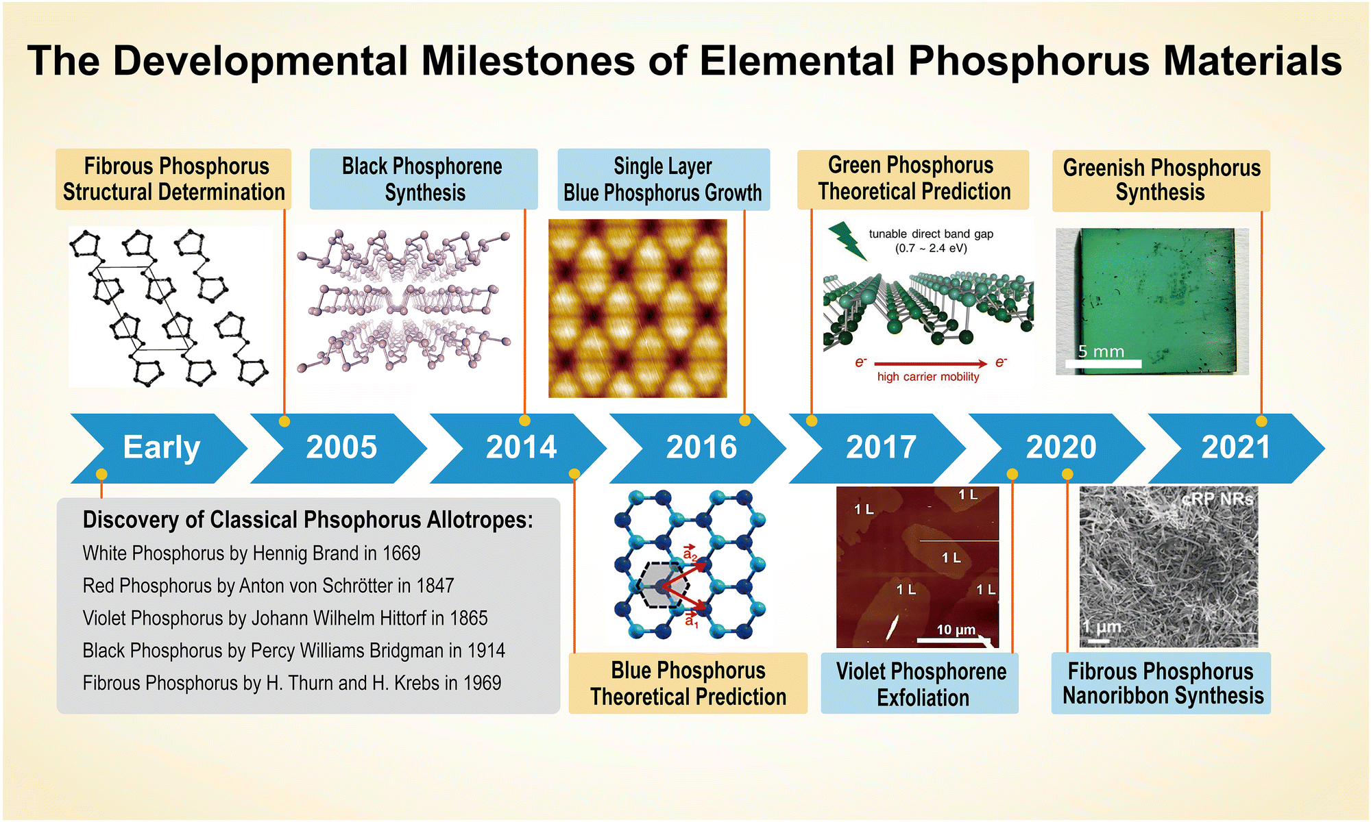 Renaissance of elemental phosphorus materials: properties 