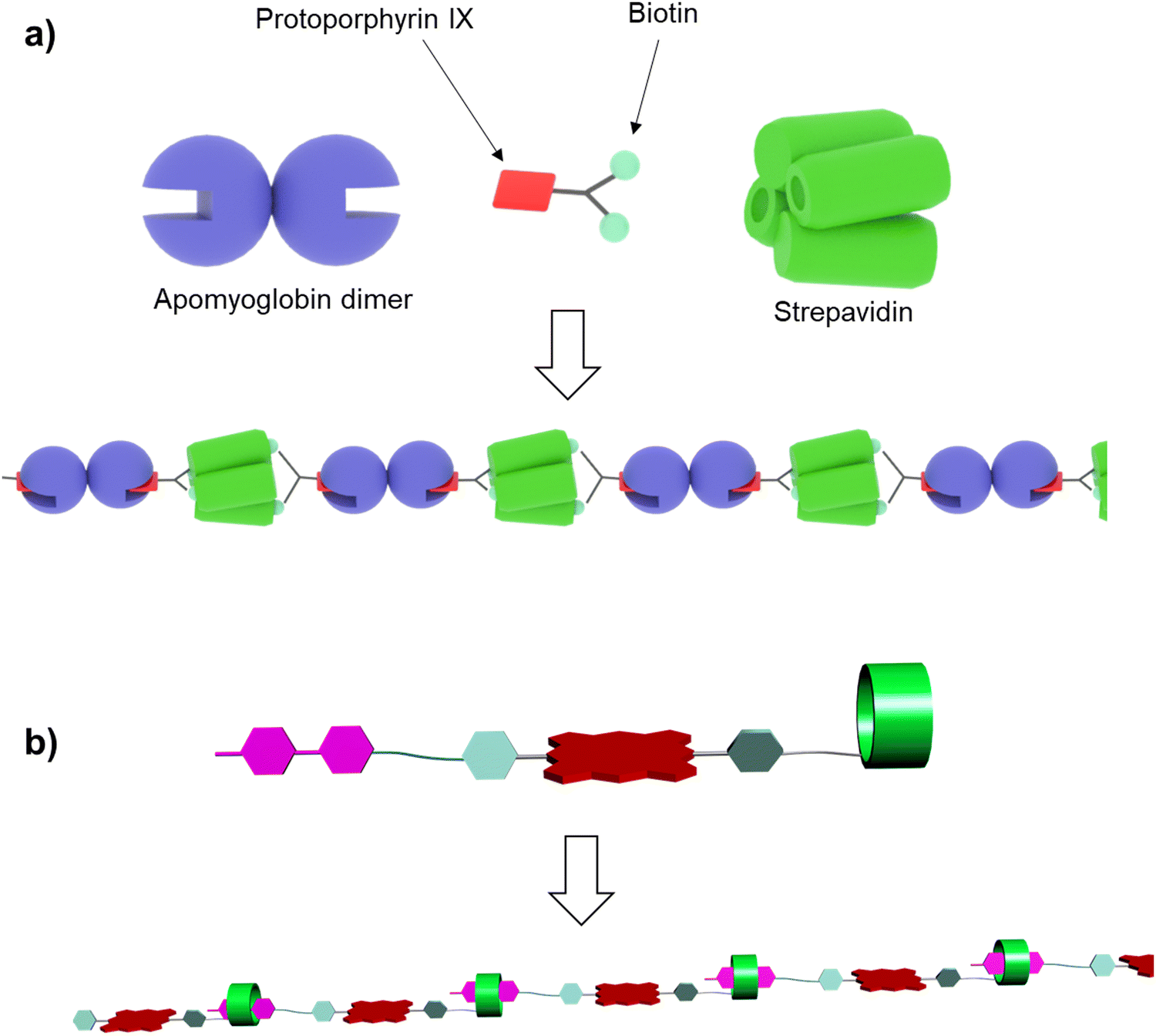 Host–Guest Complexation of Bisporphyrin Cleft and Electron-Deficient  Aromatic Guests