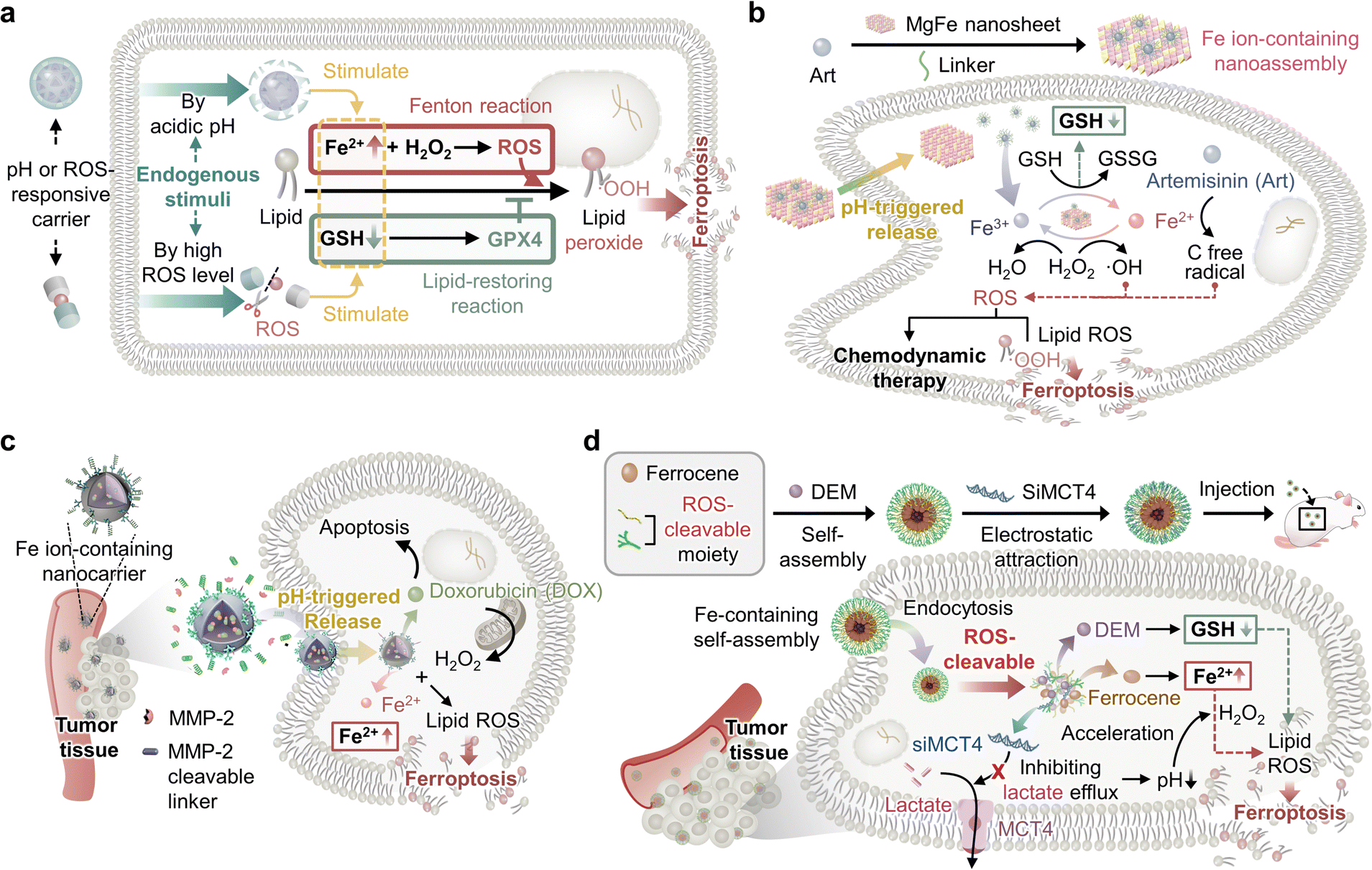 Stimuli-responsive ferroptosis for cancer therapy - Chemical