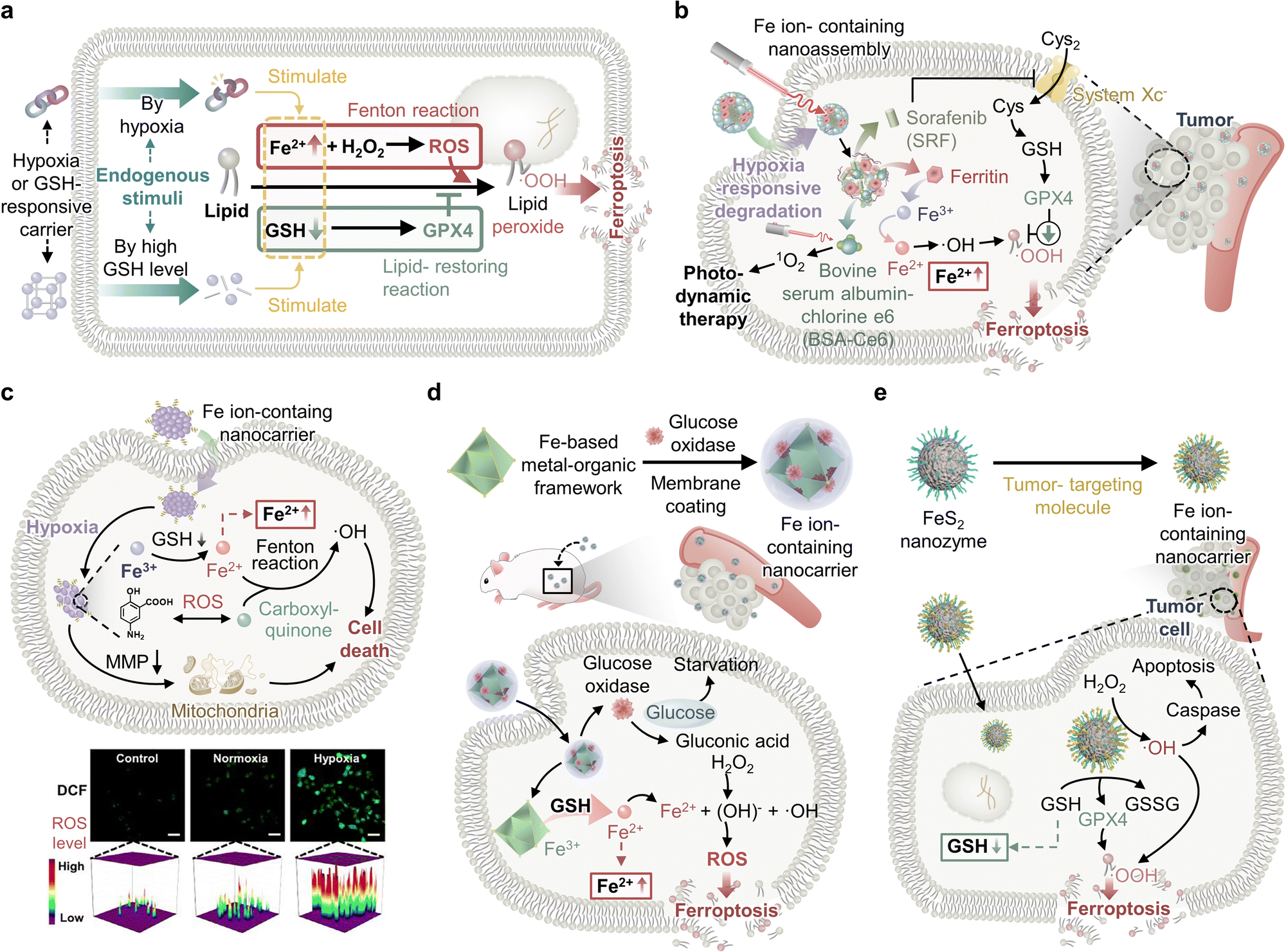 Stimuli-responsive ferroptosis for cancer therapy - Chemical Stimuli-responsive ferroptosis for cancer therapy - Chemical