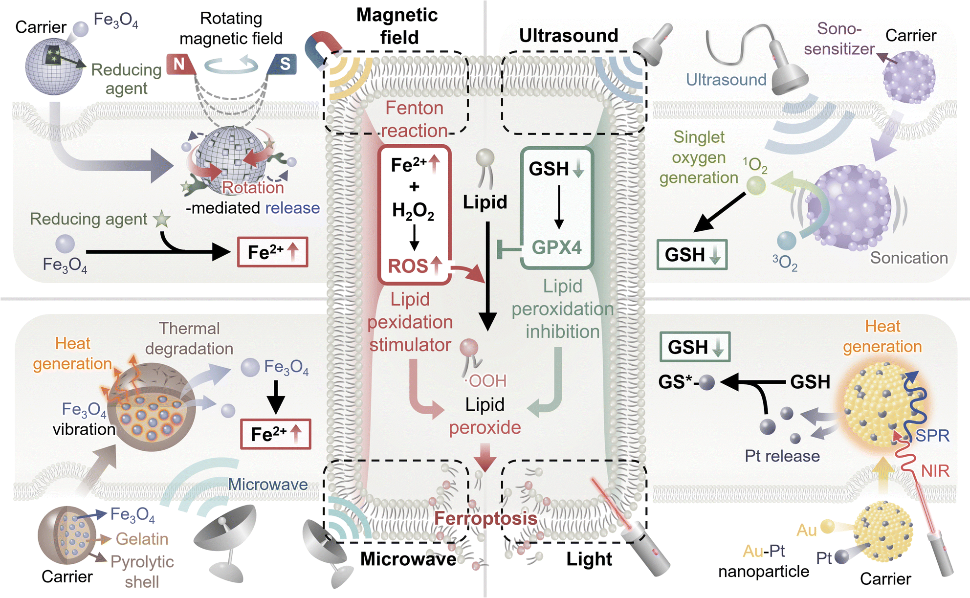 Stimuli-responsive ferroptosis for cancer therapy - Chemical