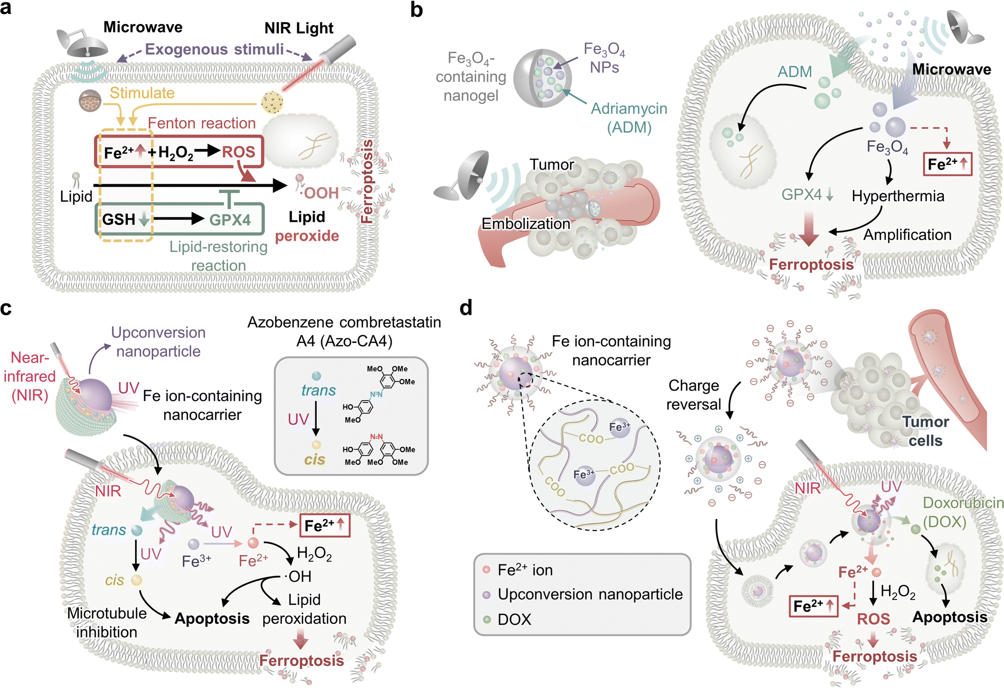 Stimuli-responsive ferroptosis for cancer therapy - Chemical