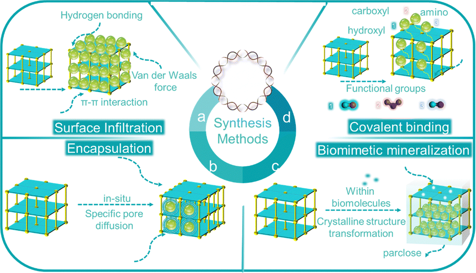 Tunable metal–organic frameworks assist in catalyzing
