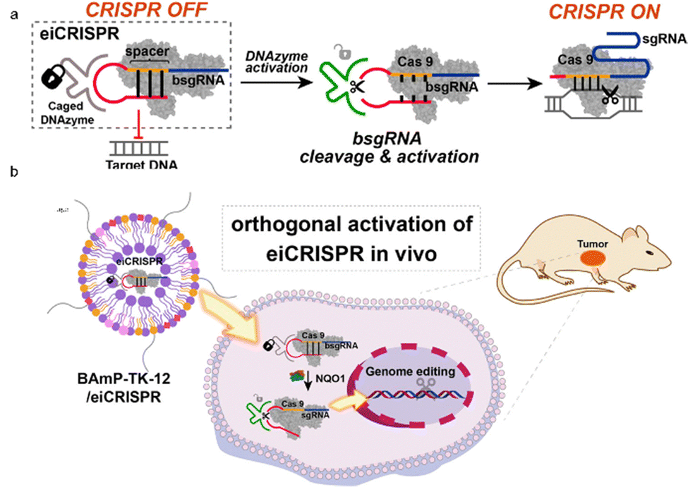 Antigen Select: Enteric Select – Lake Immunogenics