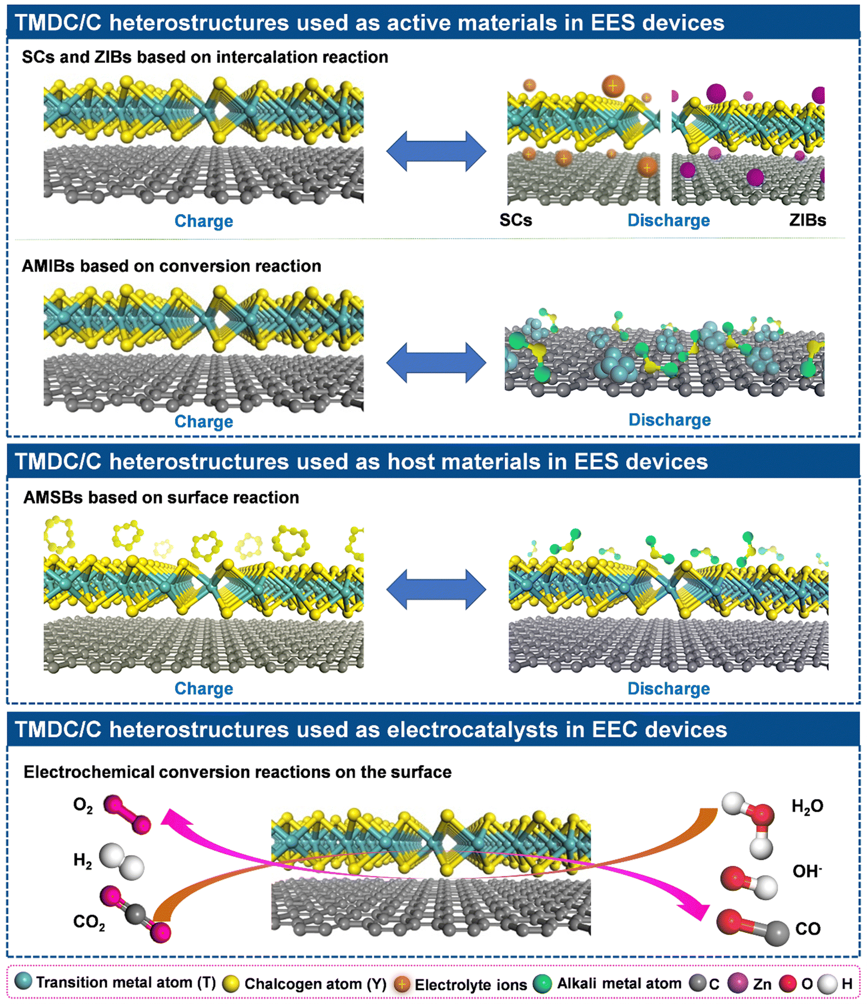 Interfacial engineering of transition metal dichalcogenide/carbon 