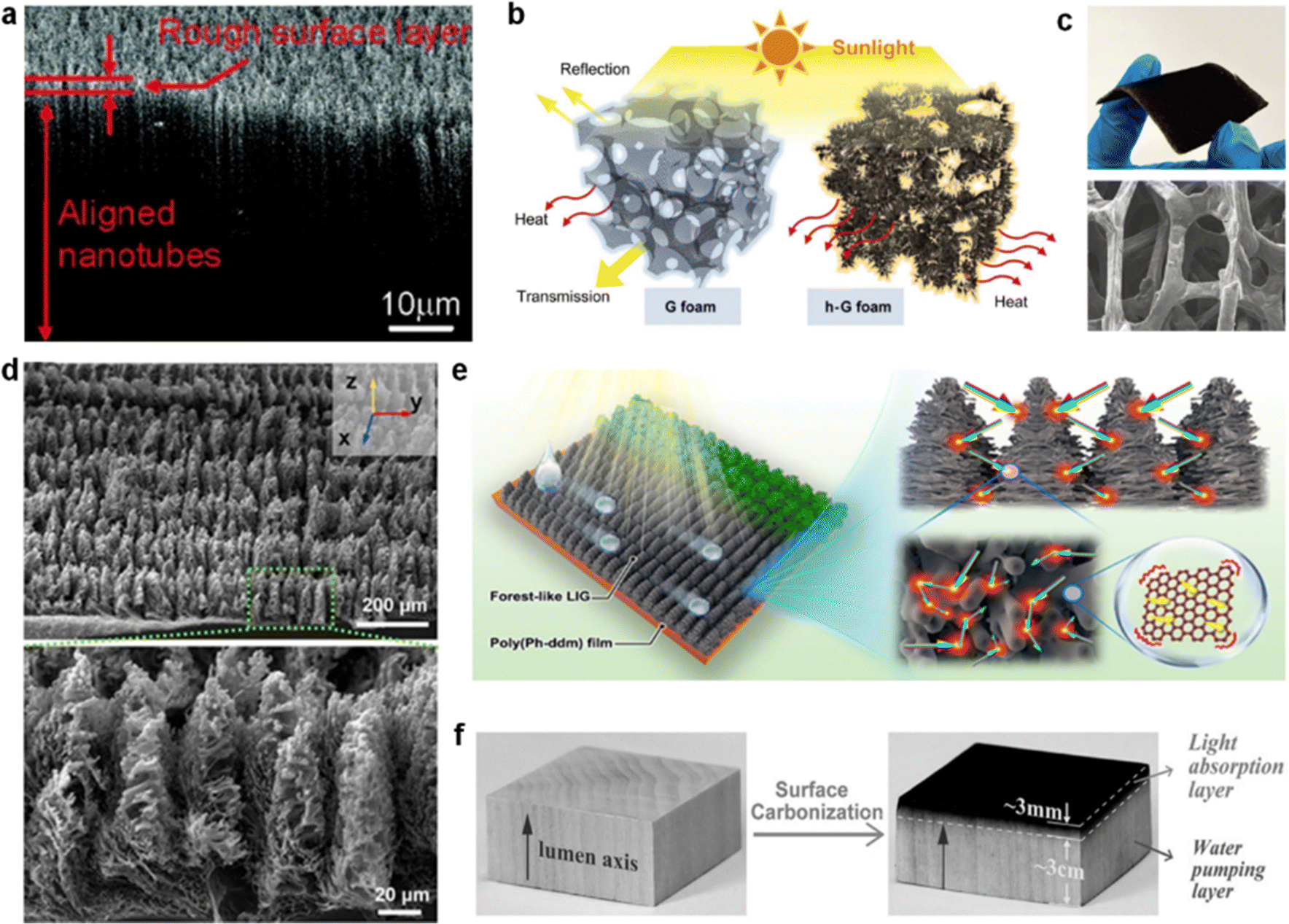 Advances in photothermal regulation strategies: from efficient solar  heating to daytime passive cooling - Chemical Society Reviews (RSC  Publishing) DOI:10.1039/D3CS00500C