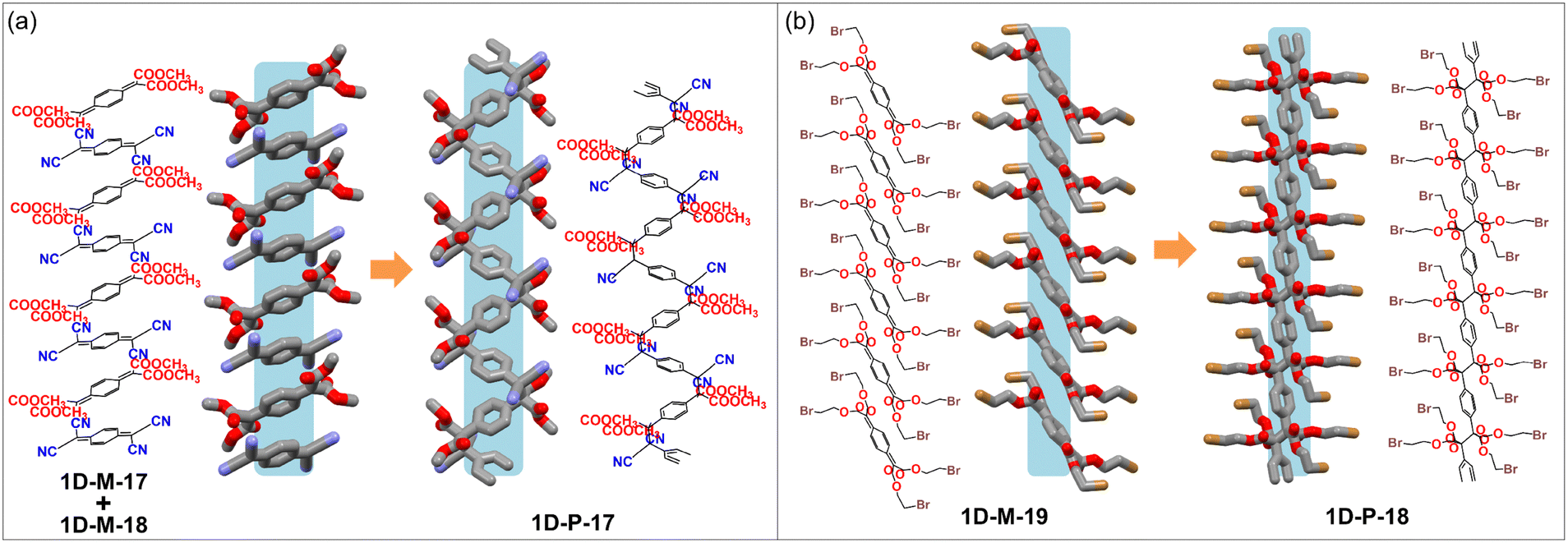 Single-crystal polymers (SCPs): from 1D to 3D architectures