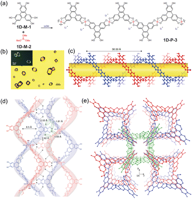PSA9 初期 融合 Polymerization PSA9 初期 融合 Polymerization