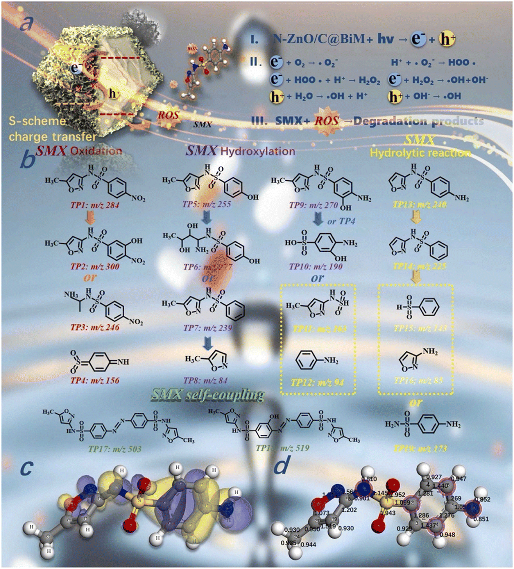 In Situ Charge Transfer at the Ag@ZnO Photoelectrochemical Interface toward  the High Photocatalytic Performance of H2 Evolution and RhB Degradation