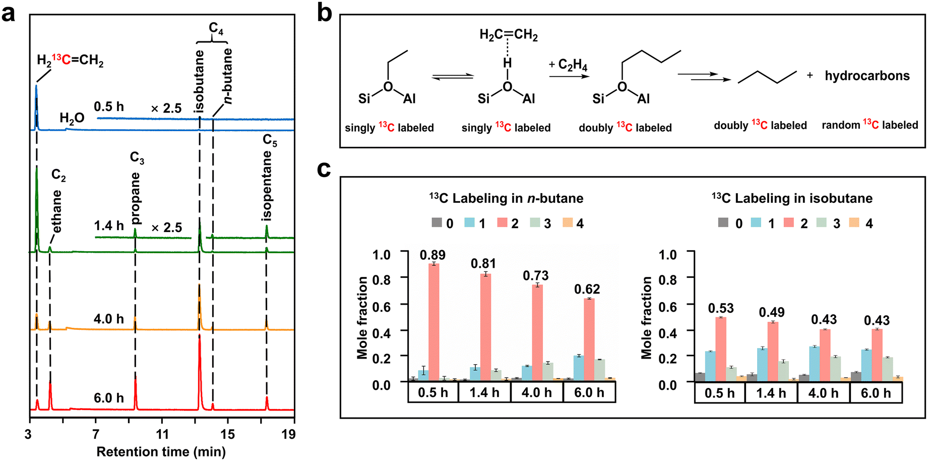 Observation of reactive intermediates in the initial stage during