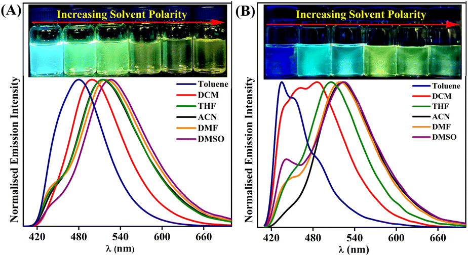 Solvatochromism and Conformational Changes in Fully Dissolved Poly