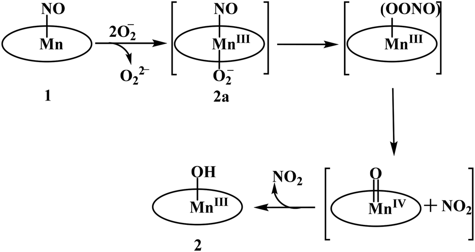 Reaction of a nitrosyl complex of Mn( ii )–porphyrinate with superoxide:  NOD activity is favoured over SOD activity - Dalton Transactions (RSC  Publishing) DOI:10.1039/D3DT00570D