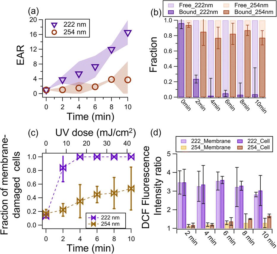 Staphylococcus Aureus is Inactivated by Germicidal UV-C Light