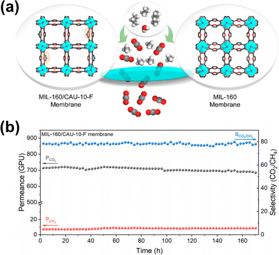 Advances in organic microporous membranes for CO 2 separation 