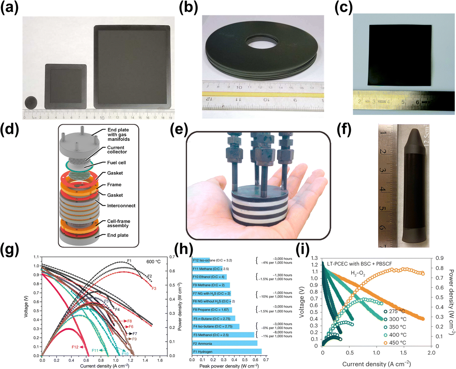 A review of progress in proton ceramic electrochemical cells