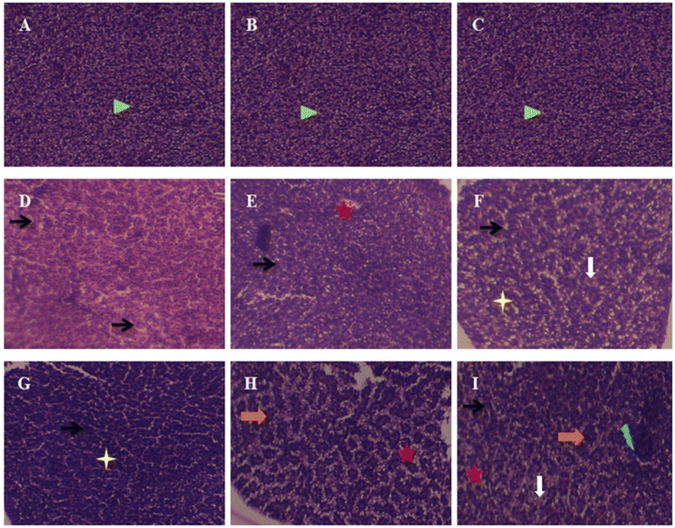 A study to assess the health effects of an anticancer drug 