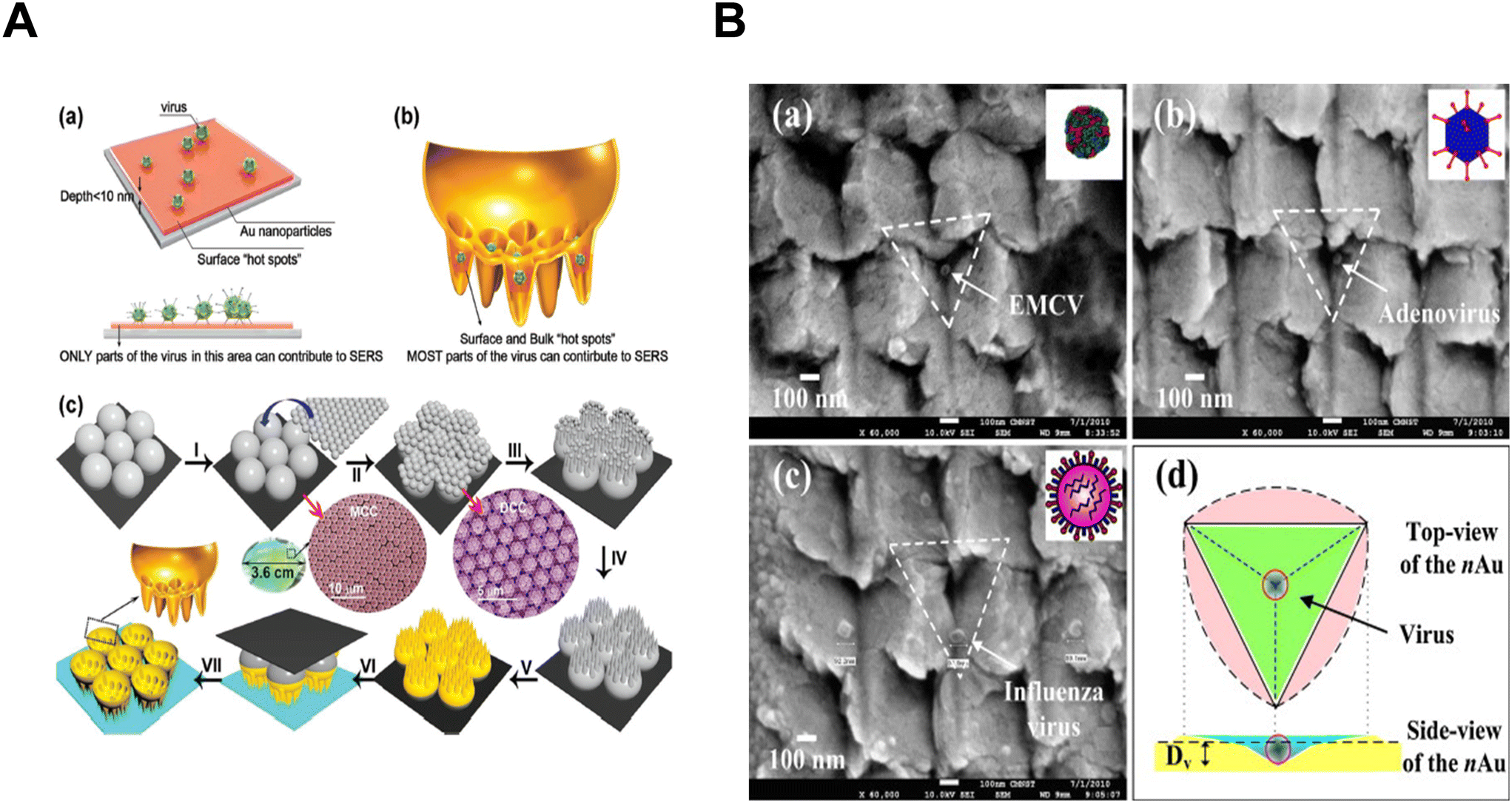 Environmental routes of virus transmission and the