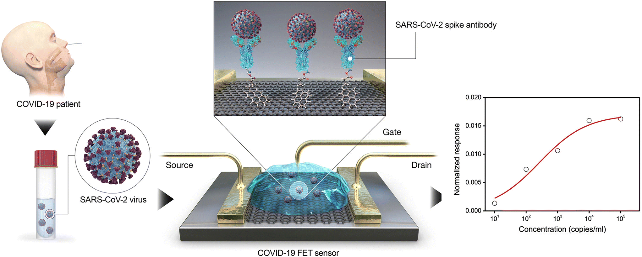 Environmental routes of virus transmission and the application of 