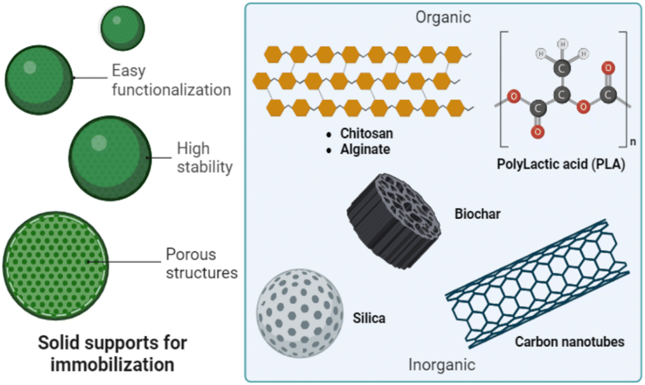 Biochar from olive mill solid waste as an eco-friendly adsorbent