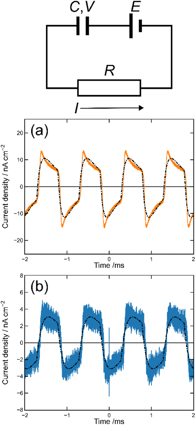 Optoelectronic conversion and polarization hysteresis in organic MISM