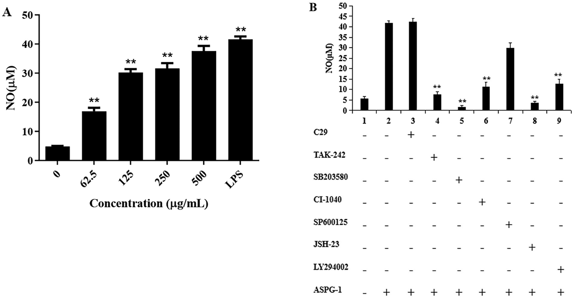 Characterization of a novel polysaccharide from Arca