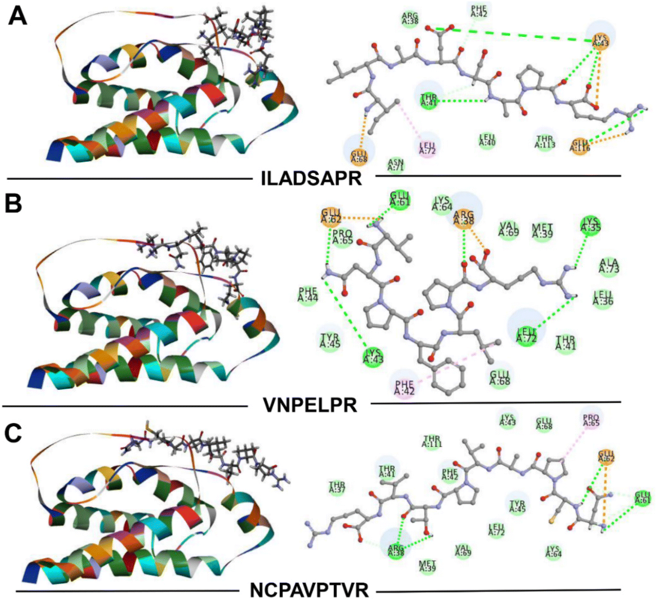 セリ Comparison of C14- and C15-Predomiated AB2 Metal Hydride