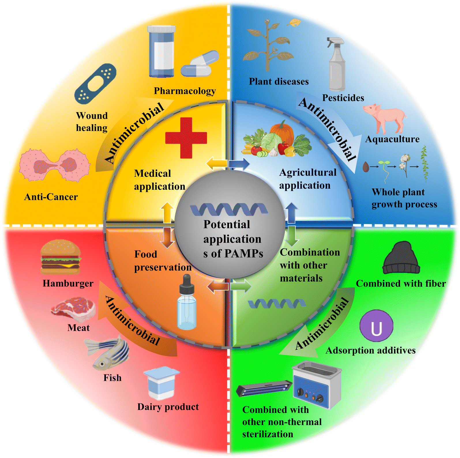 Plant antimicrobial peptides: a comprehensive review of their classification,  production, mode of action, functions, applications, and challenges - Food  & Function (RSC Publishing) DOI:10.1039/D3FO01119D