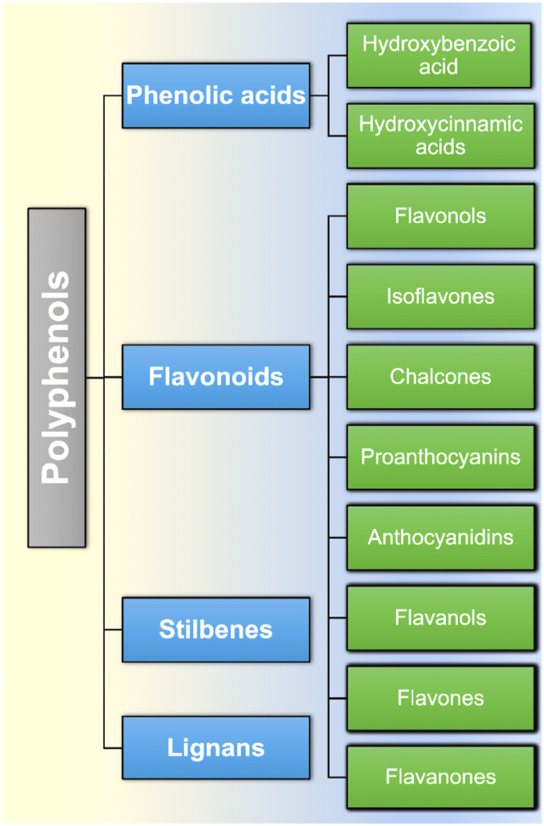 Physiological effects of resistant starch and its applications in