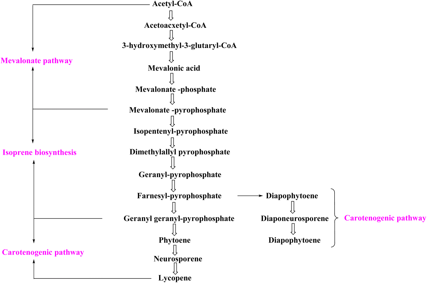 The sources, properties, extraction, biosynthesis, pharmacology 