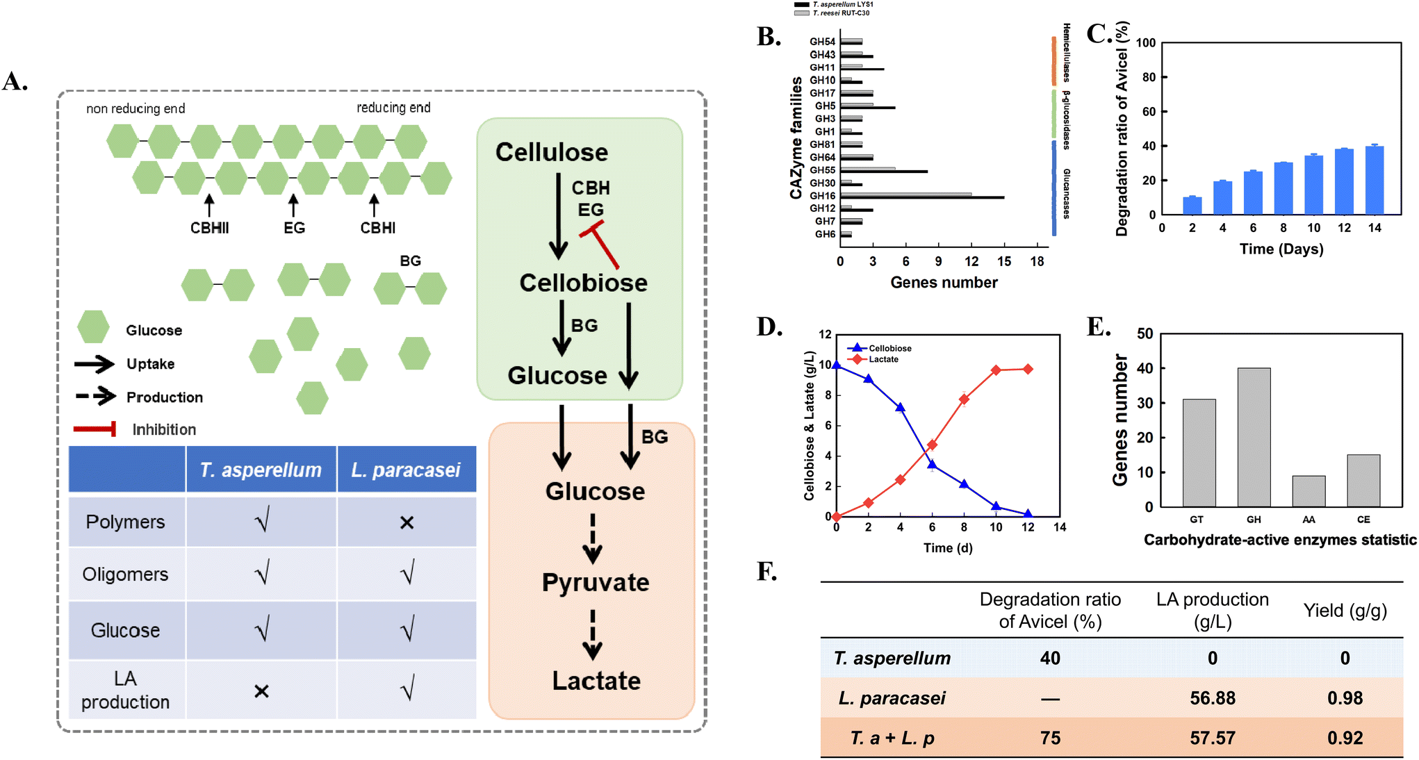 Compartmentalized microbes and co-cultures in hydrogels for on