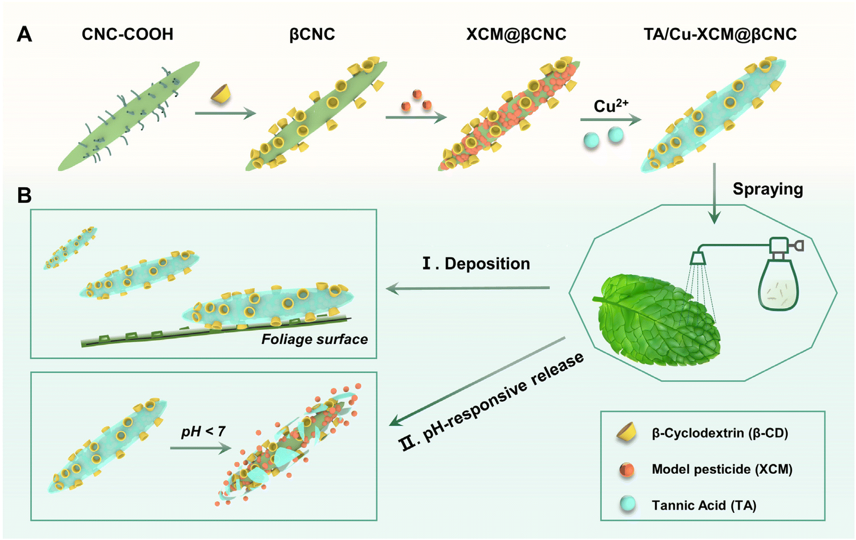 Cellulose nanocrystals for crop protection: leaf adhesion and 
